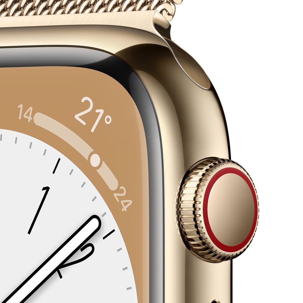 Stainless gold apple discount watch